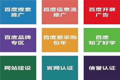 SEM竞价优化实战经验分享：成功案例背后的秘密